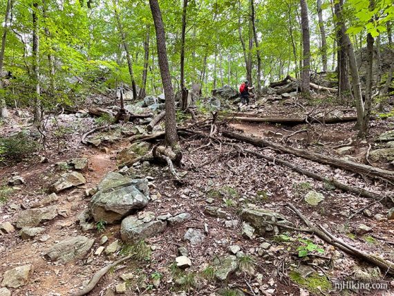 Hiker going uphill on a rocky trail