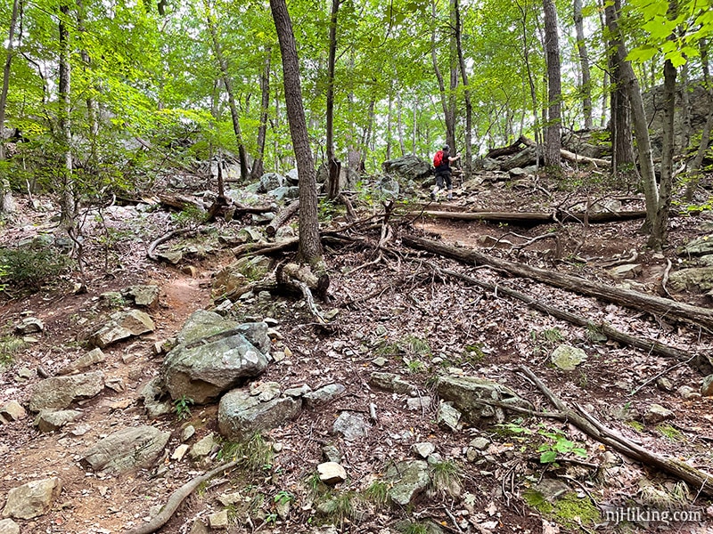 Van Slyke Castle Loop | njHiking.com