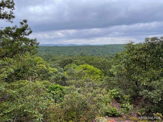 View of low hills in the distance with green trees in the foreground