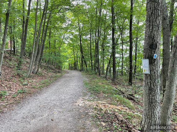 Flat gravel trail surface of Ramapo Lake Loop