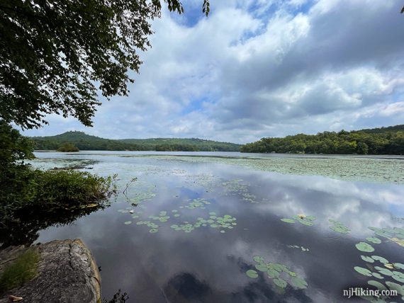 Lily pads on Ramapo Lake