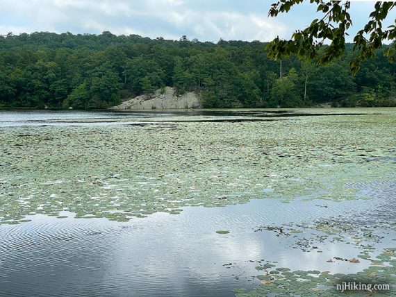 Large rock on the opposite lake shore