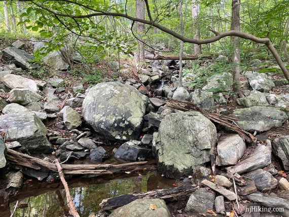 Stream crossing with two large round boulders