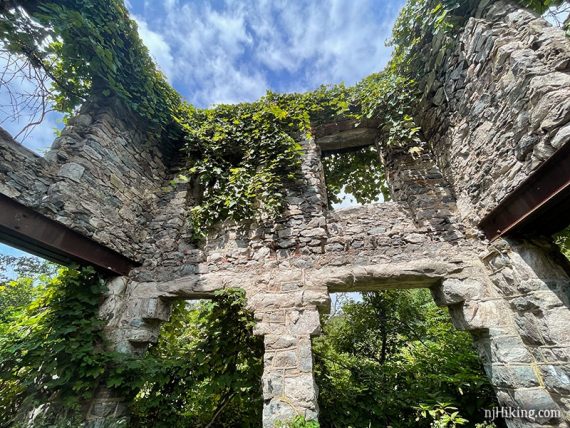 Vegetation hanging over the top of the castle walls