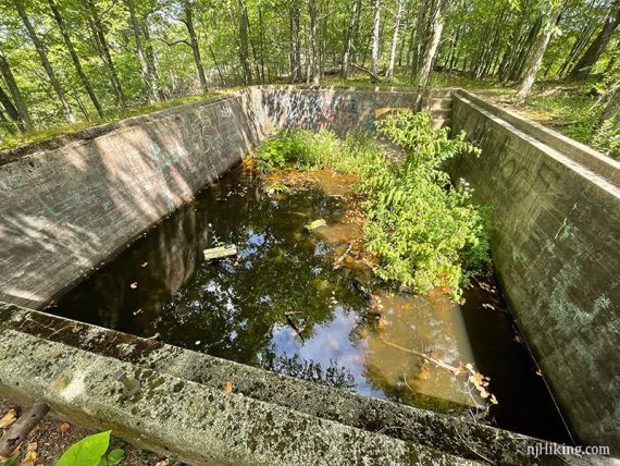 Remains of a large cement pool with mucky water inside