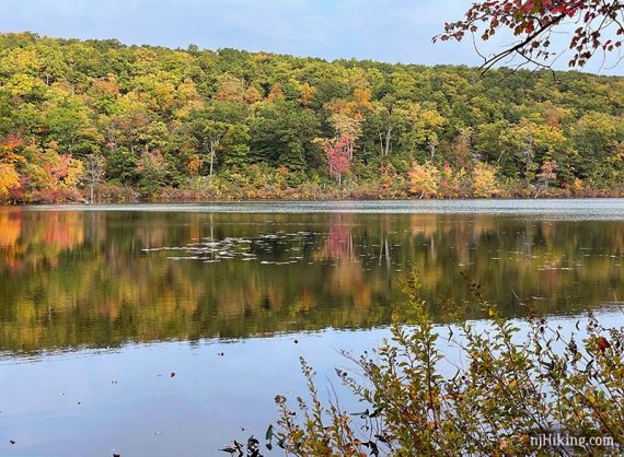 Catfish Pond with some fall foliage