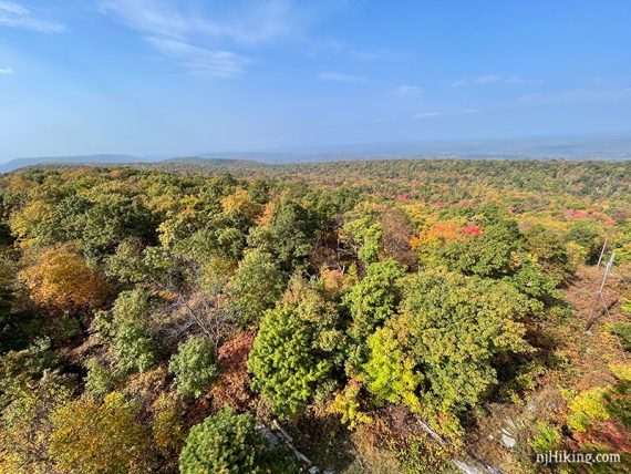 Fall foliage from Catfish Fire Tower