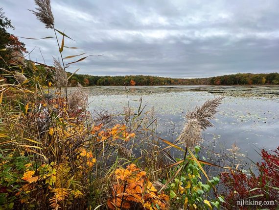 Lake with bright foliage in the foreground