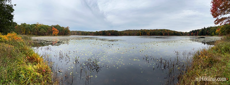 Panoramic view of a pond surrounded by fall foliage