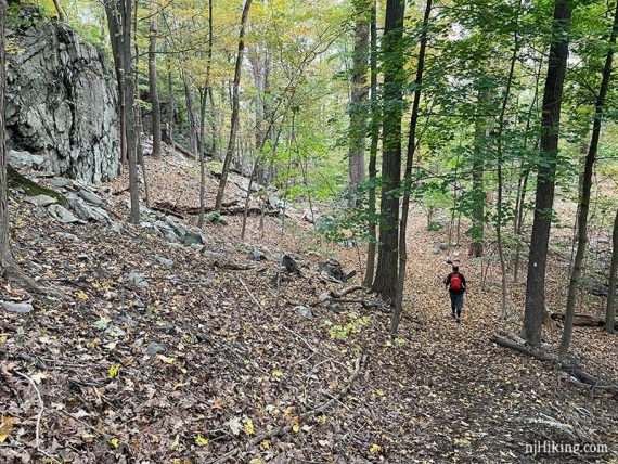 Hiker on a trail on a hillside near a rockface