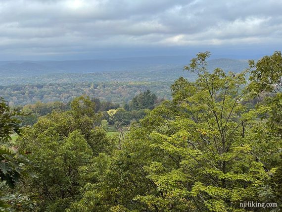 Green trees and rolling hills seen from a viewpoint 