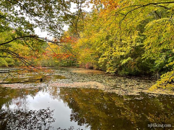 Fall foliage at Glasmere Pond