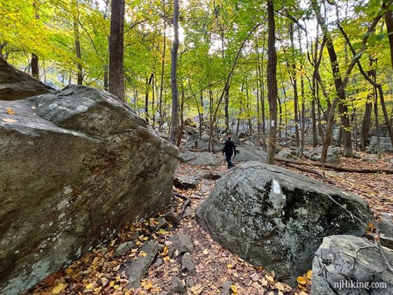 Hiker navigating through a boulder field