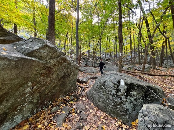 Hiker navigating through a boulder field/