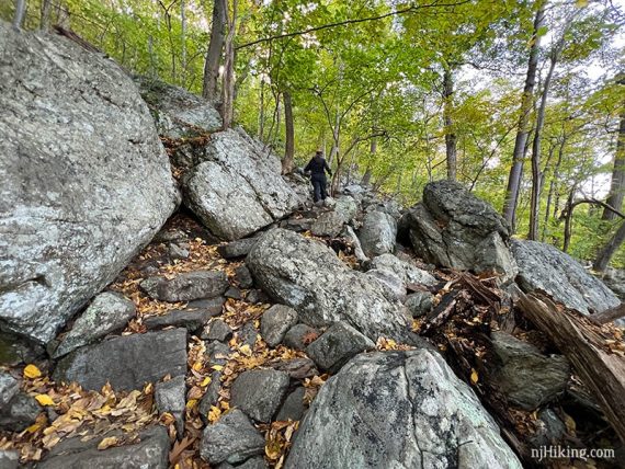 Hiker climbing a rocky trail.