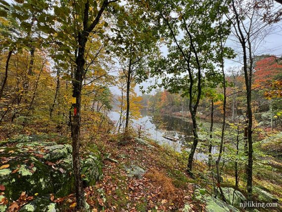 Fall foliage surrounding a lake