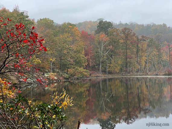 Colorful foliage reflected in a lake