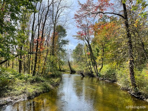 Fall foliage reflected in the Paulins Skill stream