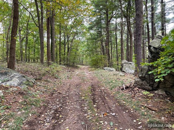 Large rock next to a wide flat woods road