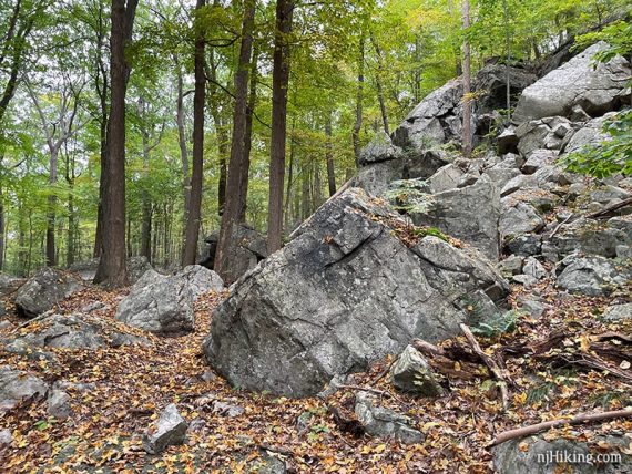 Large rock section next to a trail