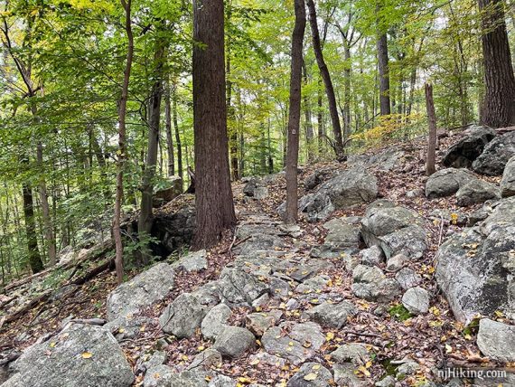 Fitted flat rocks on a trail