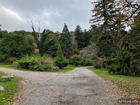 Paved path through gardens