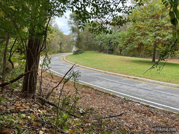 Trail ending at a service road for a scenic overlook