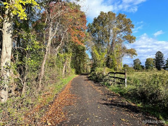 Wallkill Valley Rail Trail with fall foliage