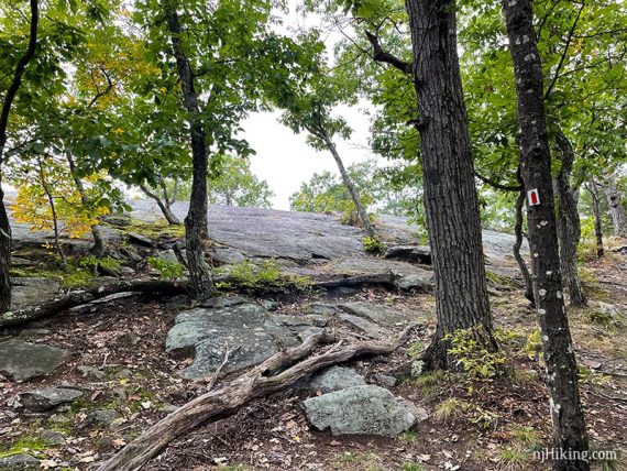 Large rounded rock face known as warm puppy rock