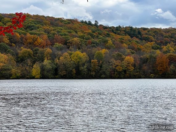 Green yellow and rusty orange foliage around a lake