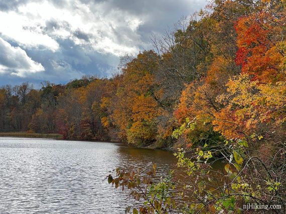 Red, orange, and yellow foliage against a dark cloudy sky