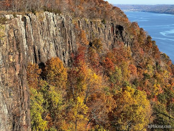 Colorful foliage against tall cliffs