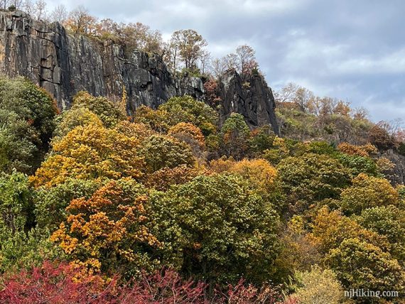 Colorful trees in front of tall cliff faces