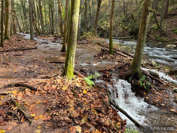 Trail flooded with water from a nearby stream.