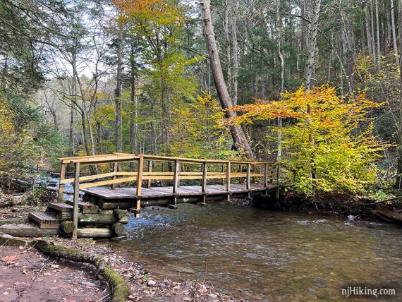 Wooden footbridge over a stream.