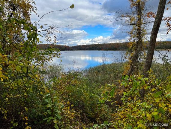 Blue lake seen beyond yellow and green foliage