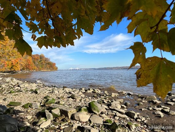 Looking through trees over the Hudson River.