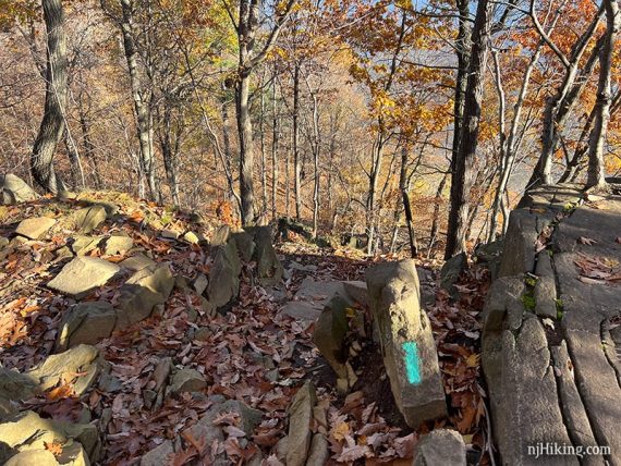 Highlands Trail teal blaze on a rocky trail.