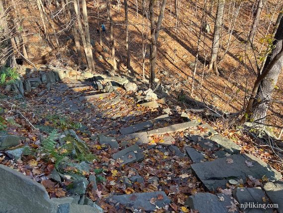 Looking down stone slab steps built into a trail.