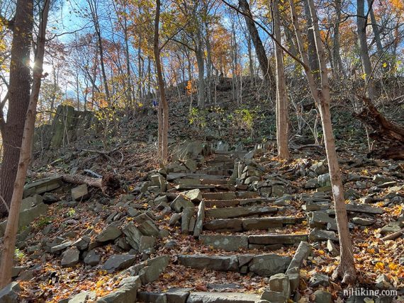 Stone steps built into a trail going uphill.