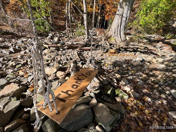 Rope swing with thank you written in large letters on the wooden seat.