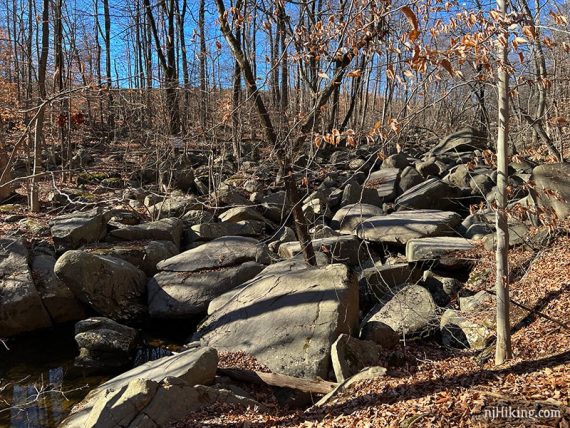 Large boulders filling a stream bed.