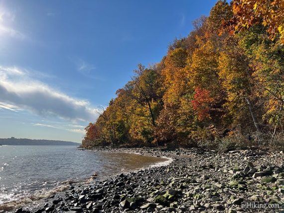 Rocky shore with bright fall foliage on the trees along it.