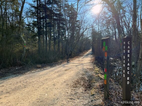 Sand road with wooden trail posts.