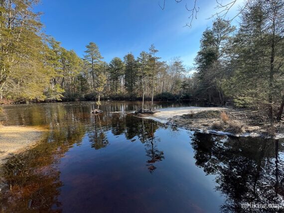 Double Trouble Creek is tea-colored due to tannic acid.