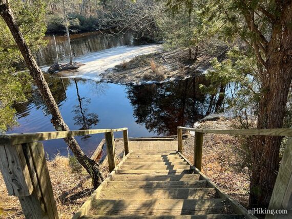 Wooden steps down to a creek.