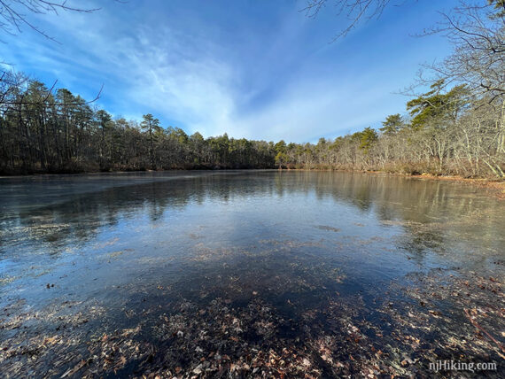 Frozen pond surrounded by green pine trees.