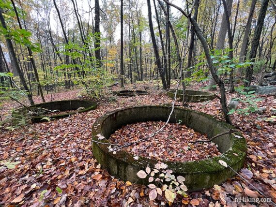 Round cement foundations left in the woods