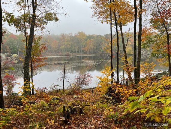 Foggy lake surrounded by fall foliage