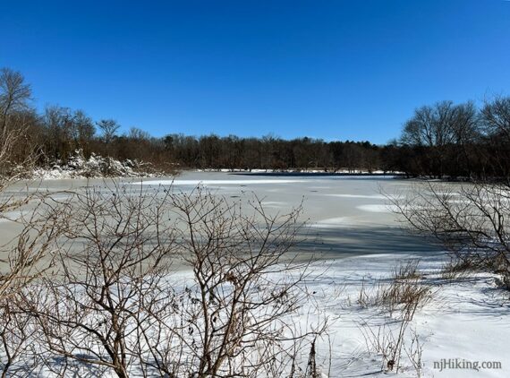 Frozen lake at Turkey Swamp